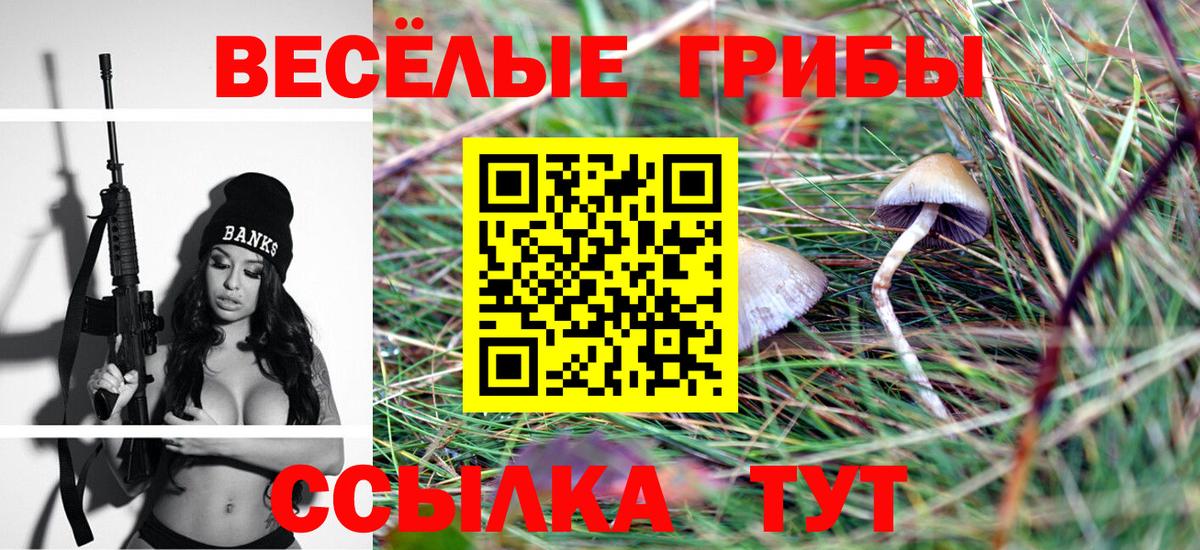 Псилоцибиновые грибы Magic Shrooms Калининград
