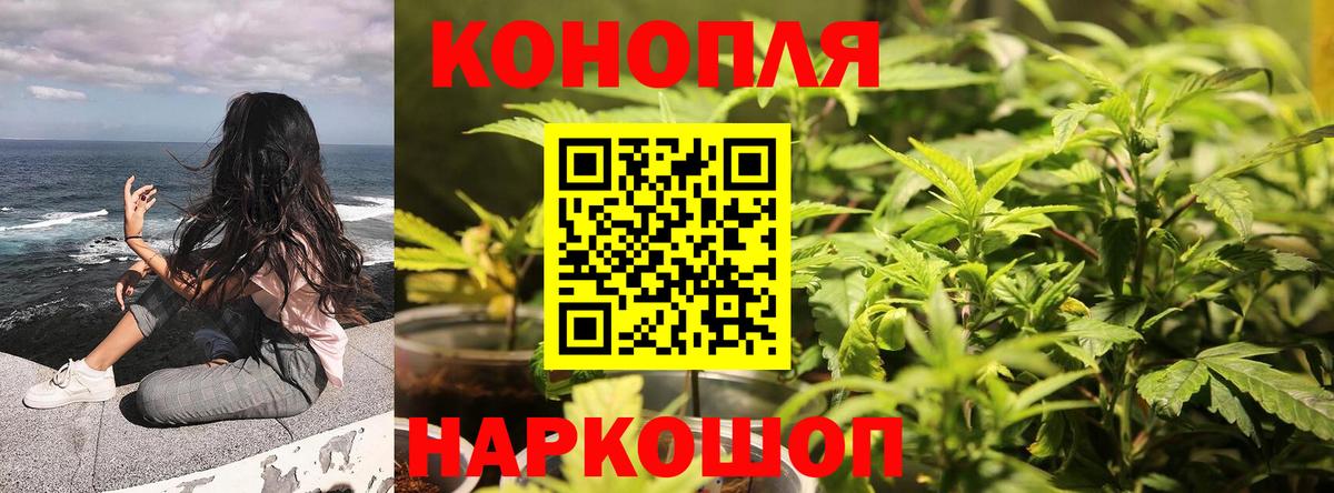 Марихуана конопля  Марихуана Amnesia  МАРИХУАНА тримм  Бошки марихуана Ganja  Вход с VPN  Калининград 